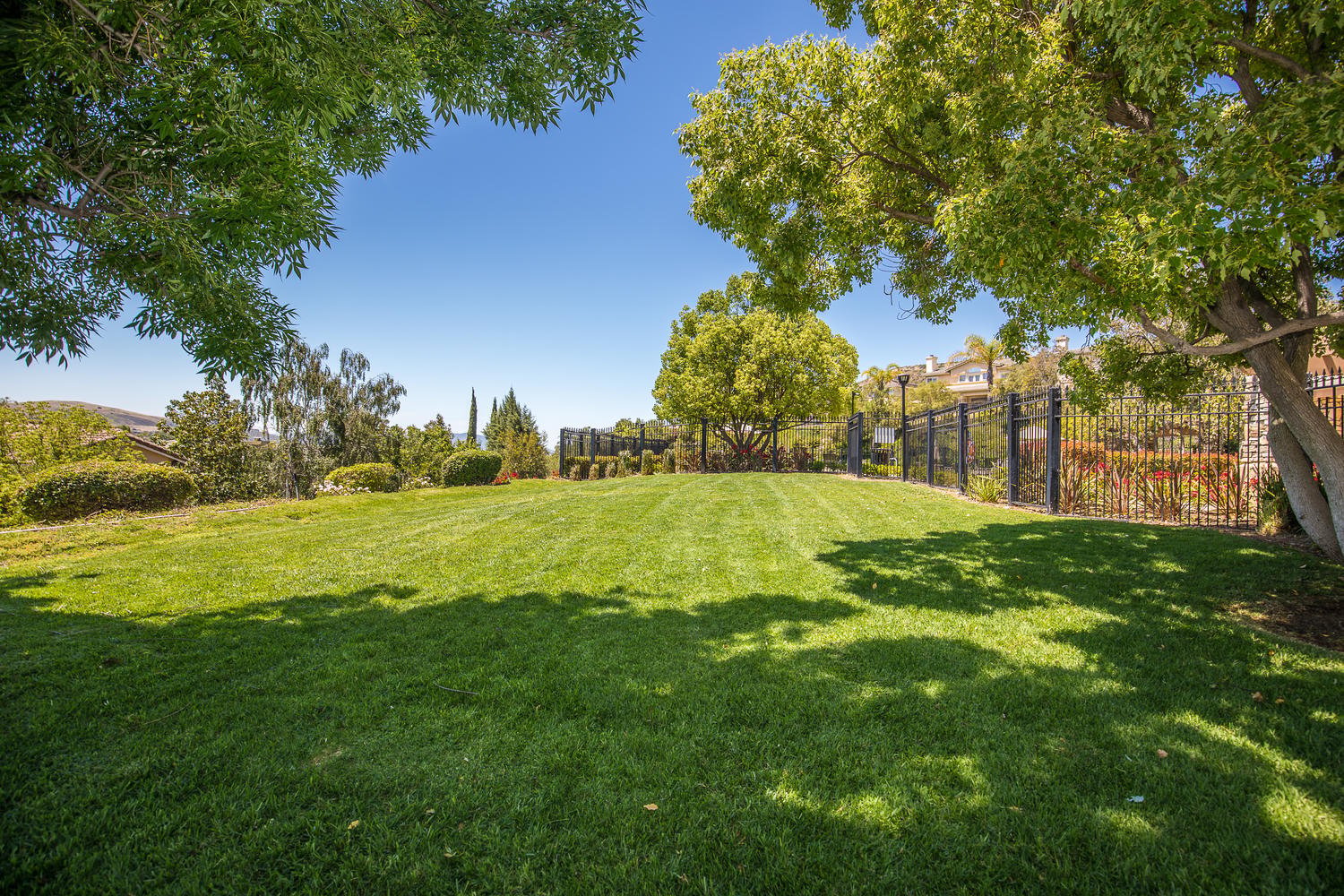2924 Blazing Star Drive