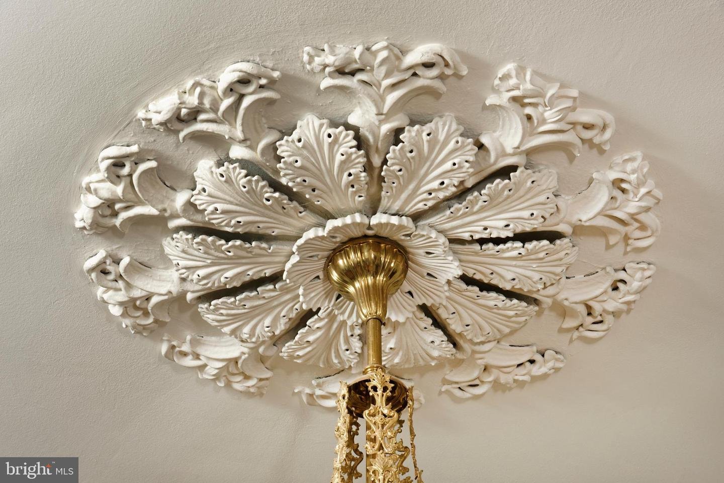 Ornate plaster ceiling medallion with carved floral details surrounding a brass chandelier.