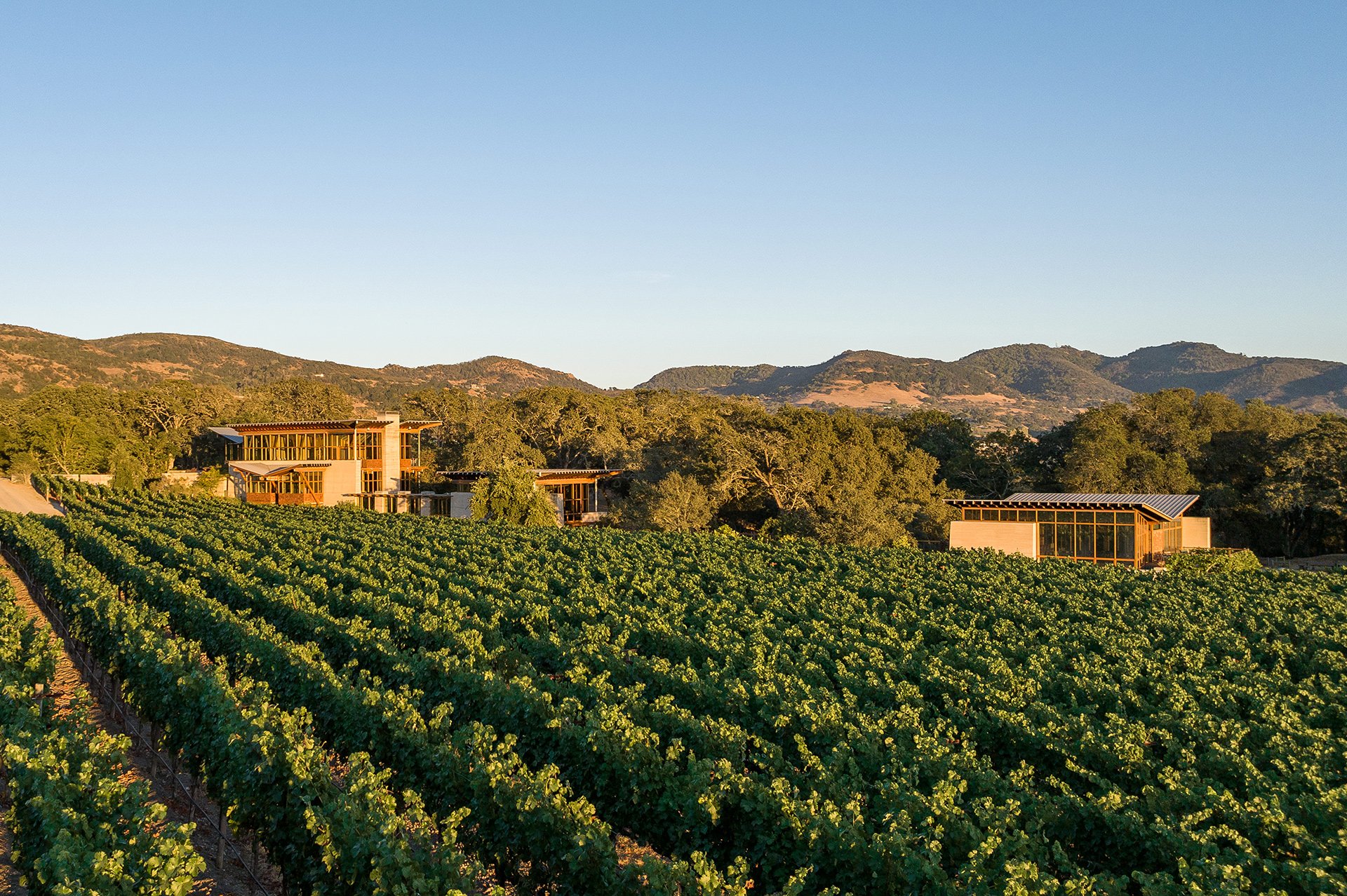 Meteor Vineyard Estate, Napa Valley