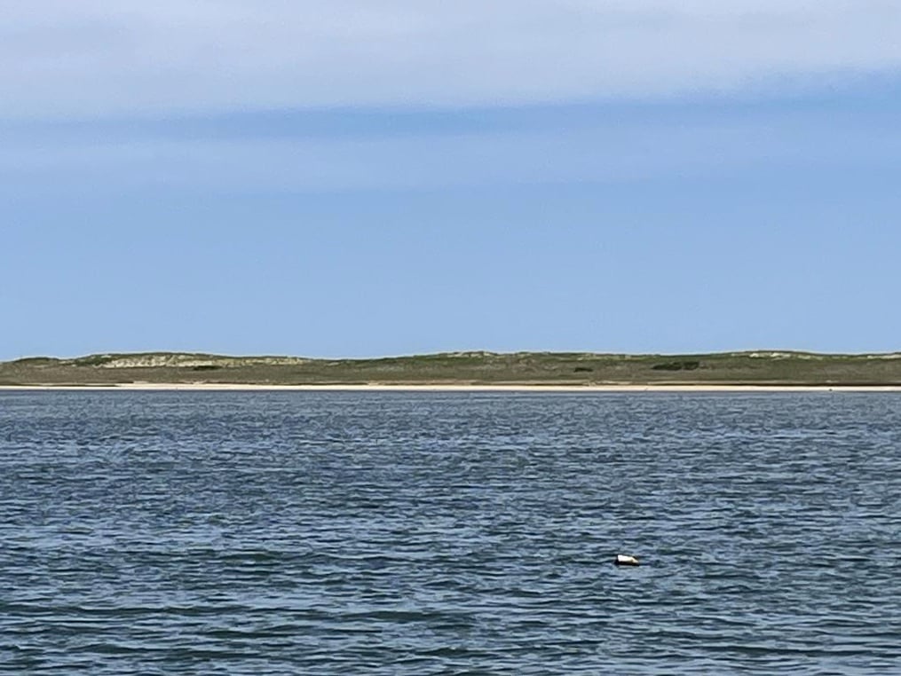 12 Katama Point Rd