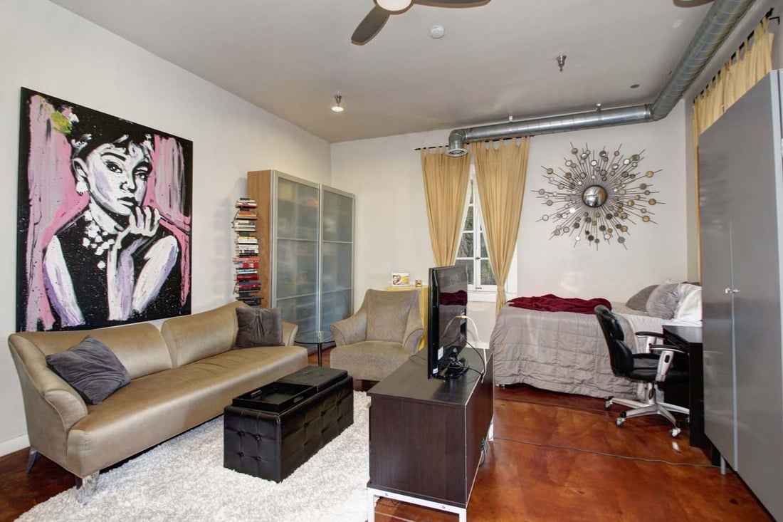  Loft in Old Sacramento