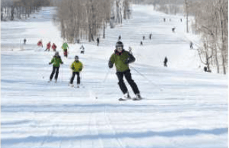 Skiers descend a snowy slope lined with bare trees.