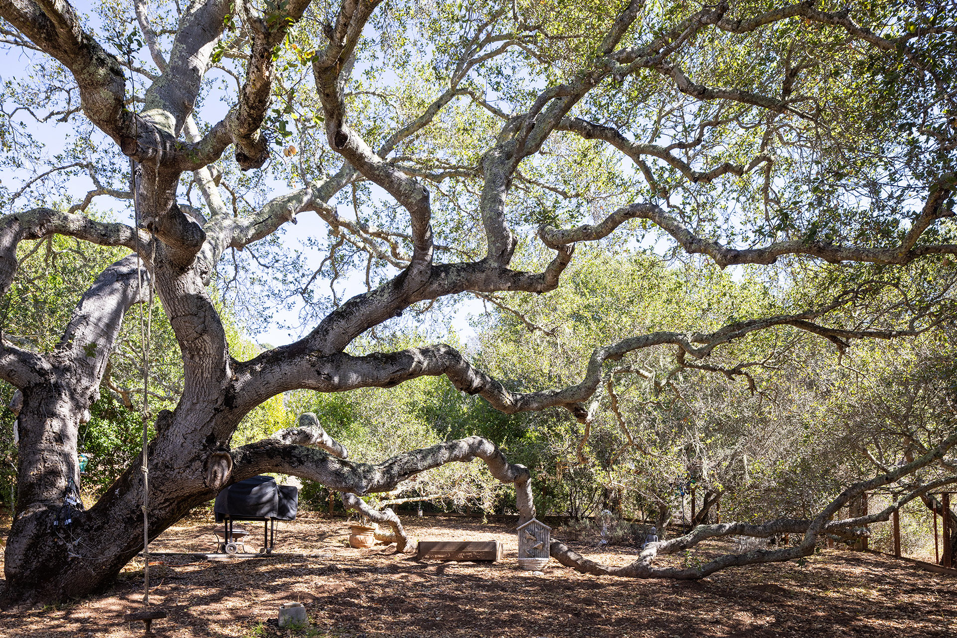 Carmel Valley Oasis