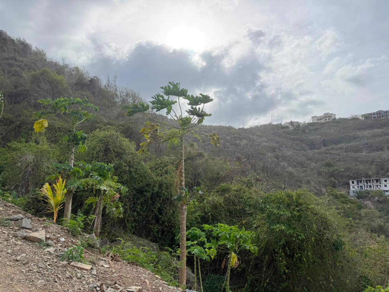 1138 Brady Ghut Hillside Land
