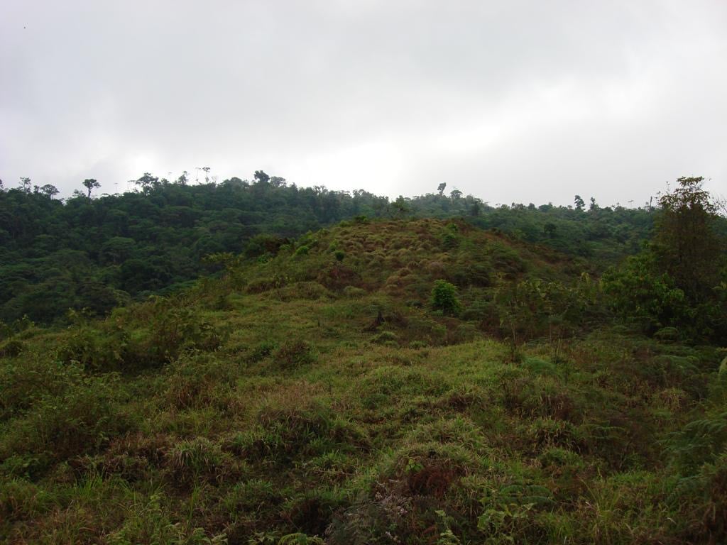 Los Cerritos Farm – 6.4 Acres of Ocean & Mountain Serenity