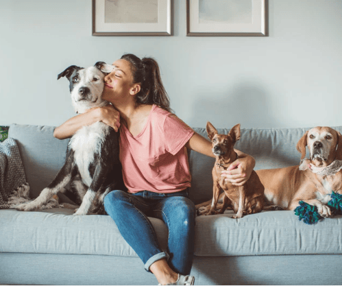 A woman cuddles three dogs on a light gray living room sofa.