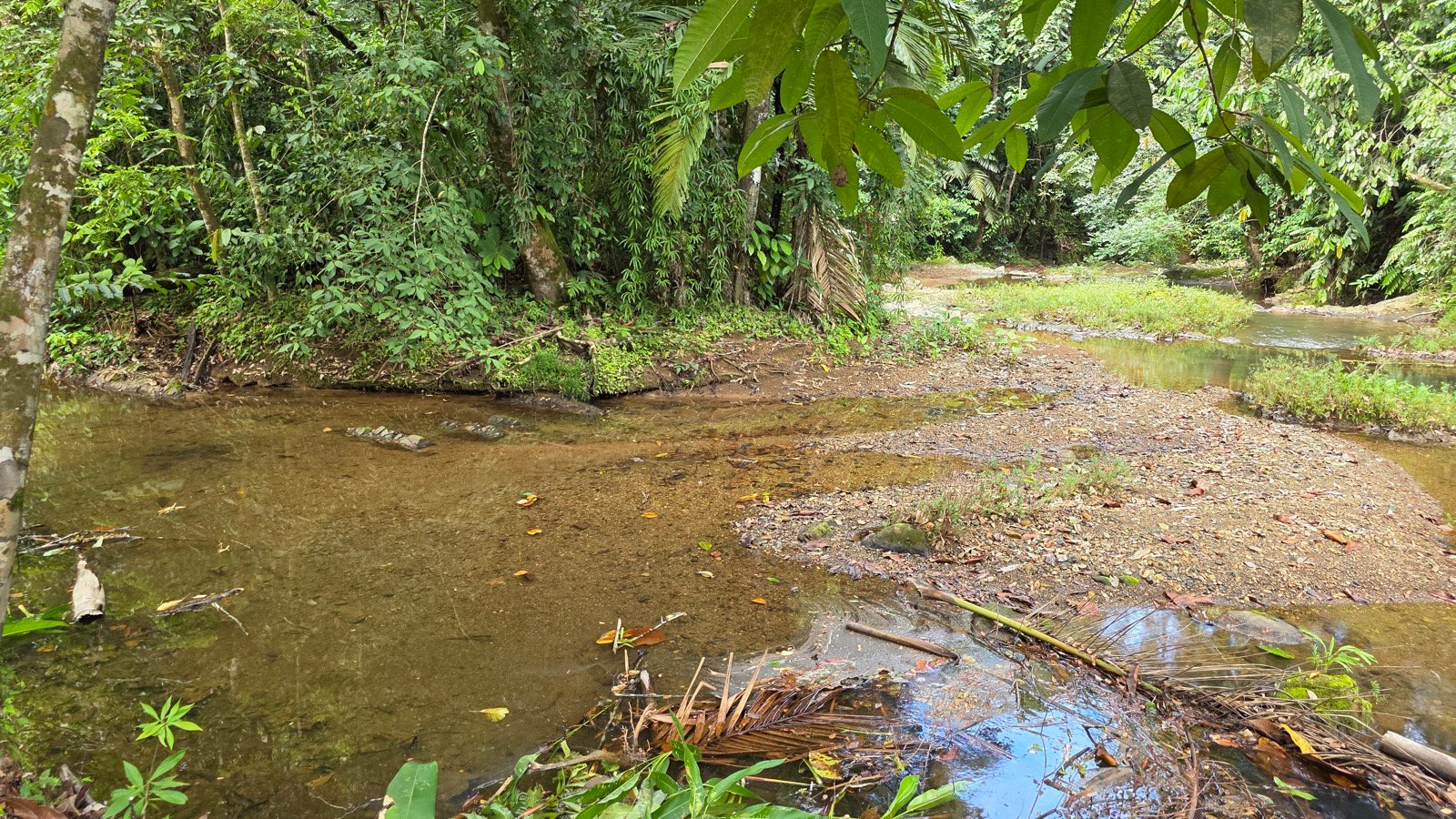 Refreshing Riverfront Retreat in Ojochal