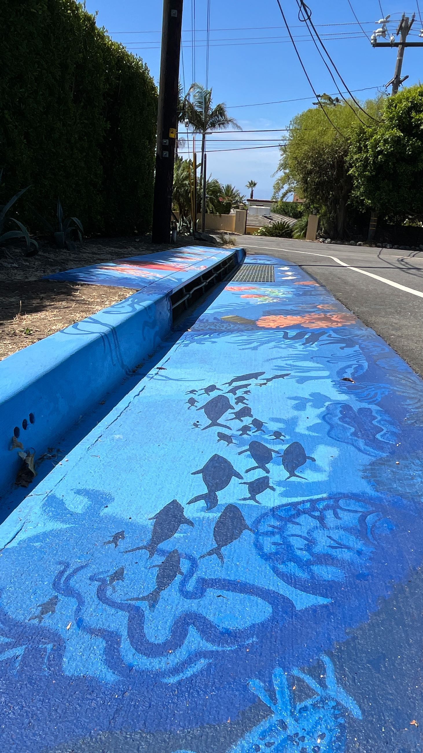 Jellyfish storm drain mural on Morning View Drive in Malibu Park