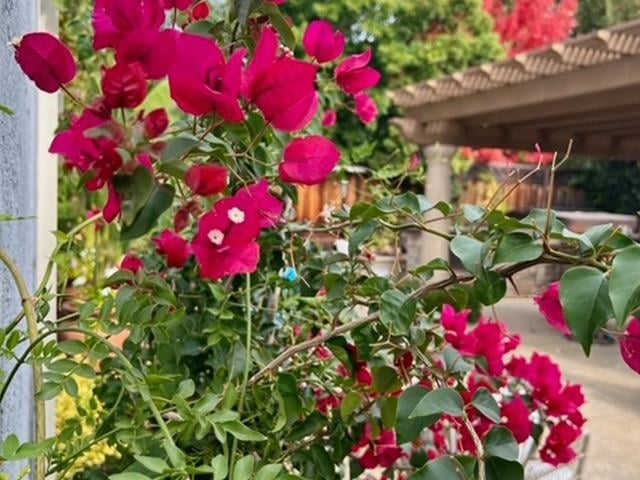 3421 Blackhawk Meadow