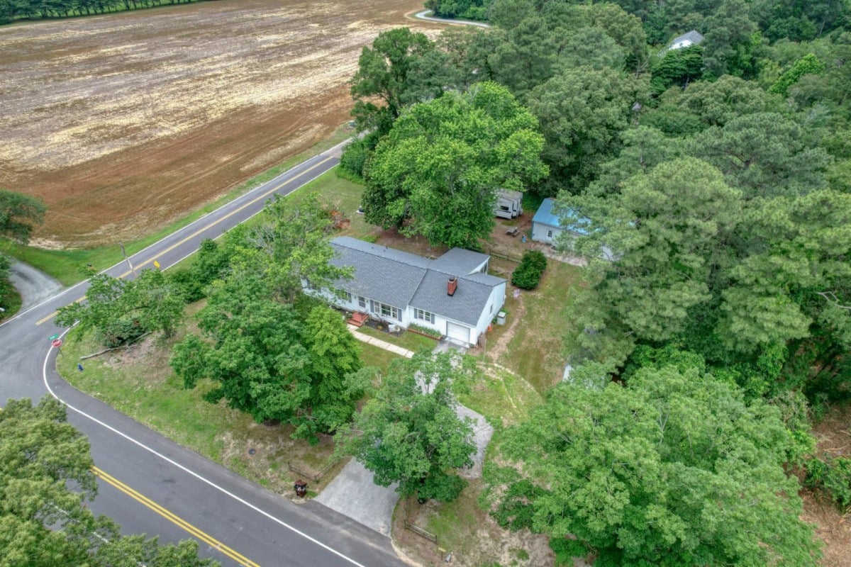 August 2025 Newsletter