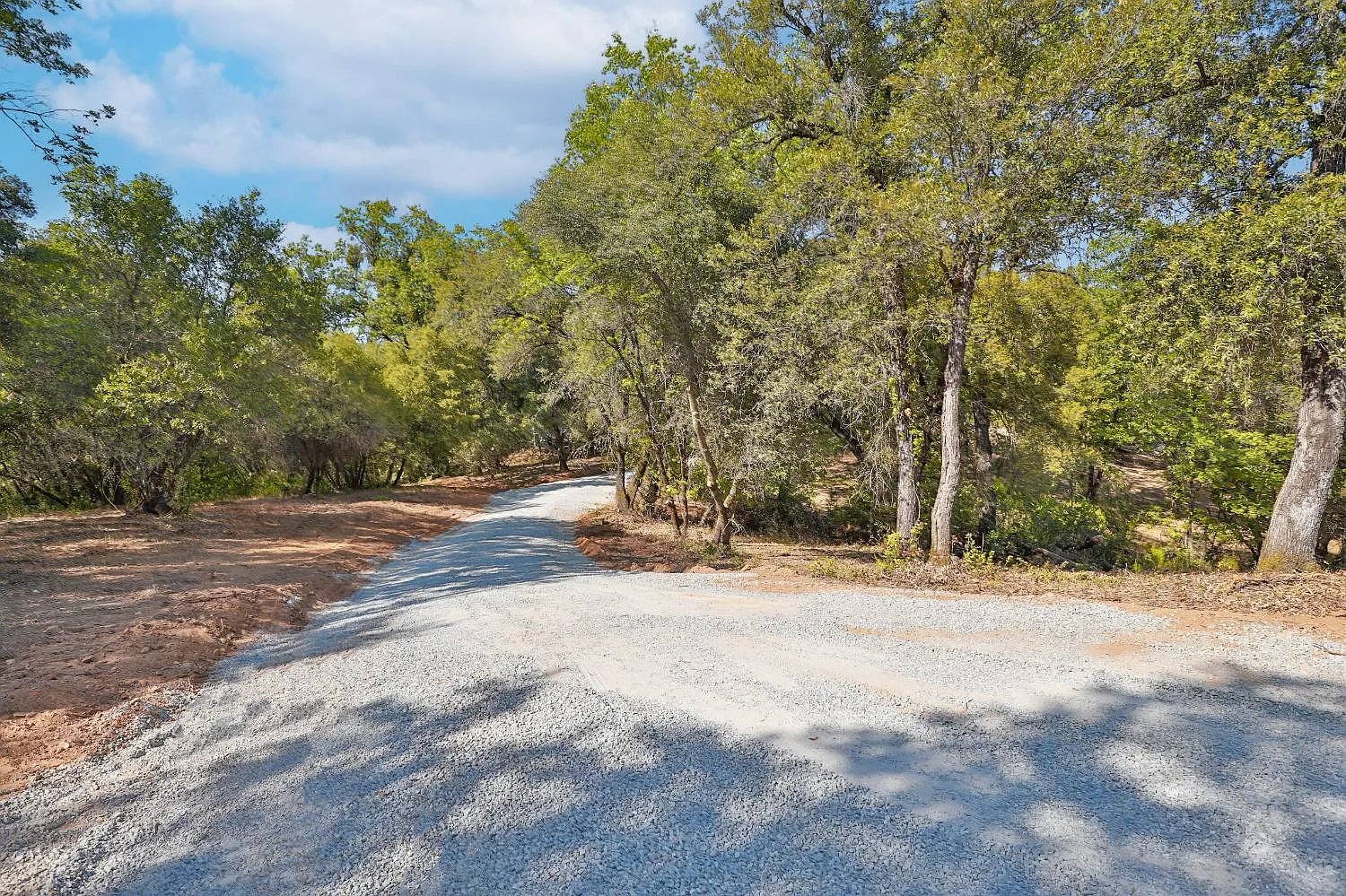 Gold Creek Lane