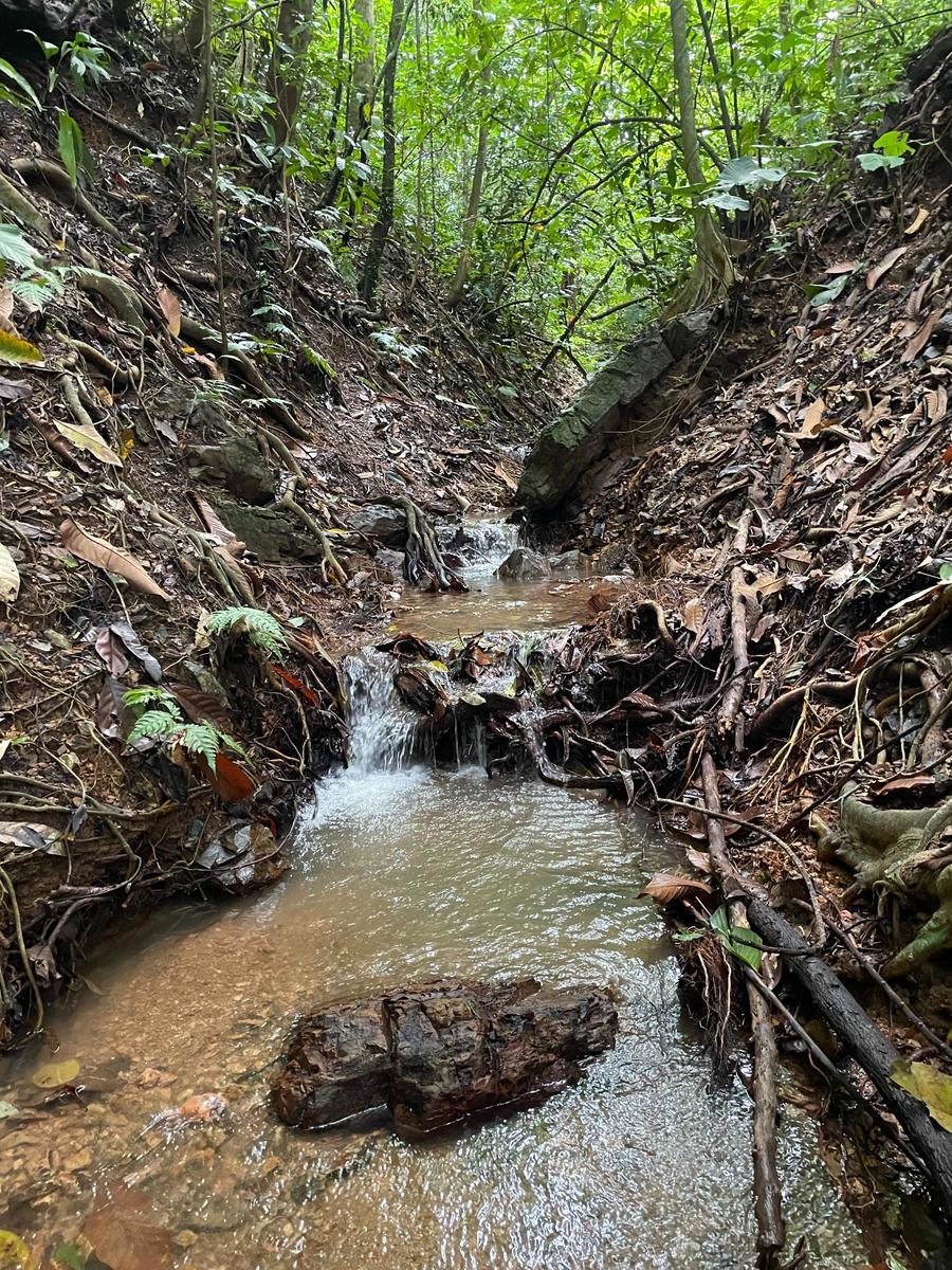 Private Waterfall Ocean View Land, Ojochal, Puntarenas