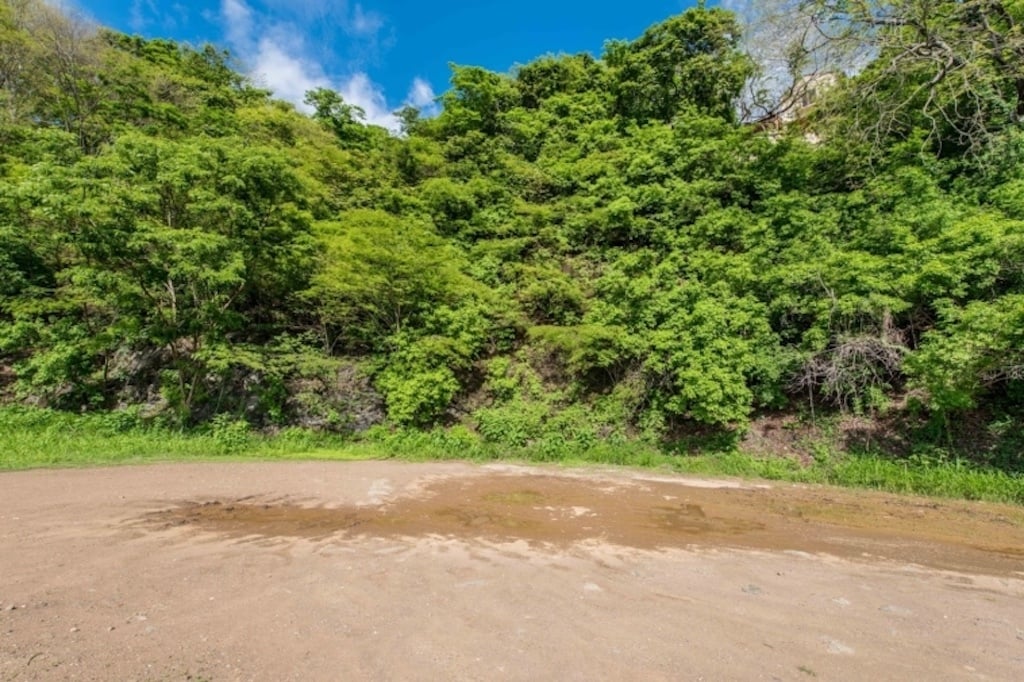Ocean View Gated Development Lot, Tamarindo, Guanacaste