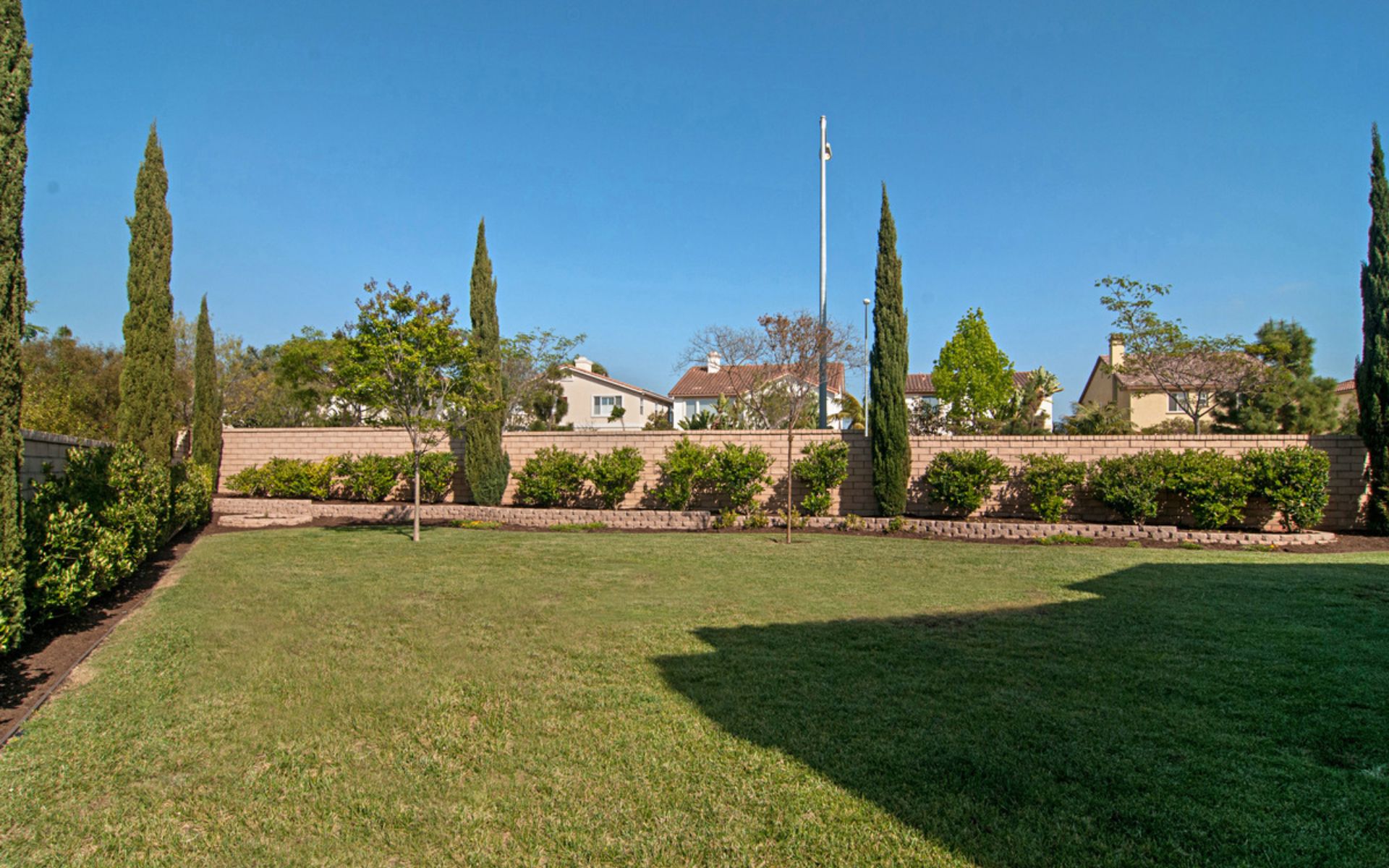 Backyard lawn bordered by shrubs, mature trees, and a low brick wall