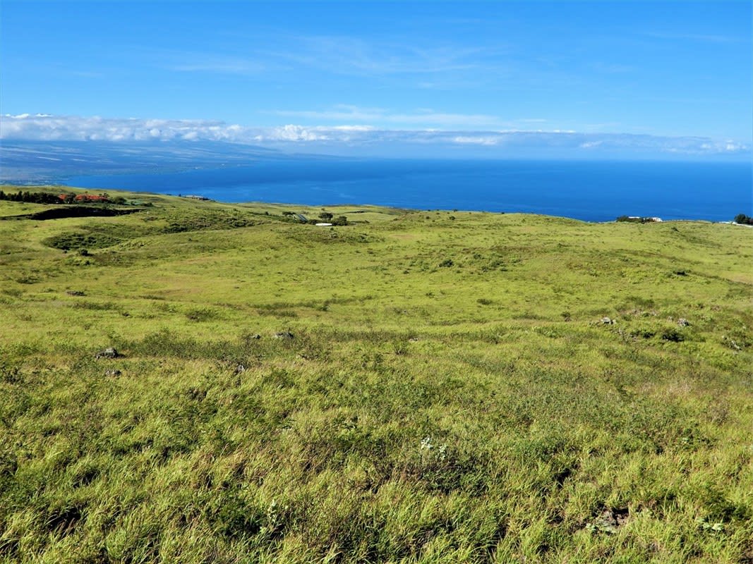 Kohala Ranch Rd Lot 149