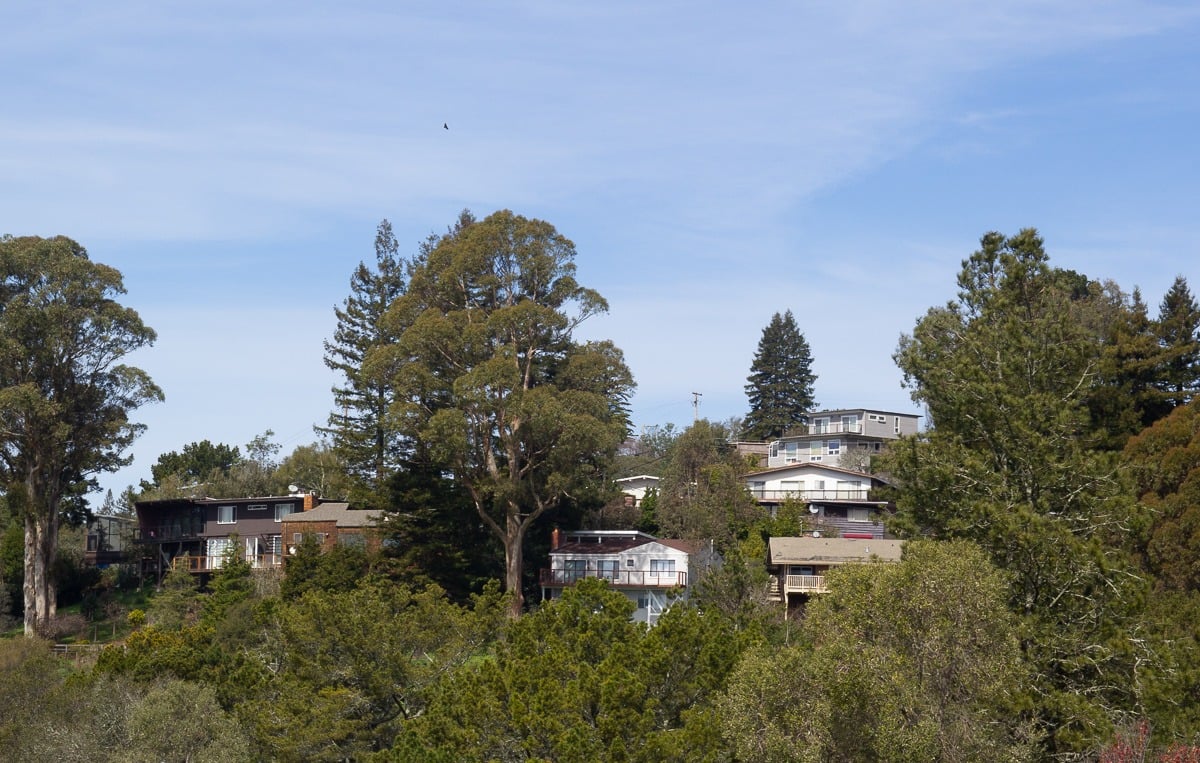 Berkeley Hills