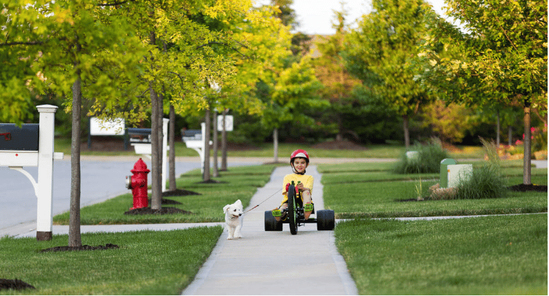 A child rides a pedal go-kart along a leafy neighborhood sidewalk beside a small dog.