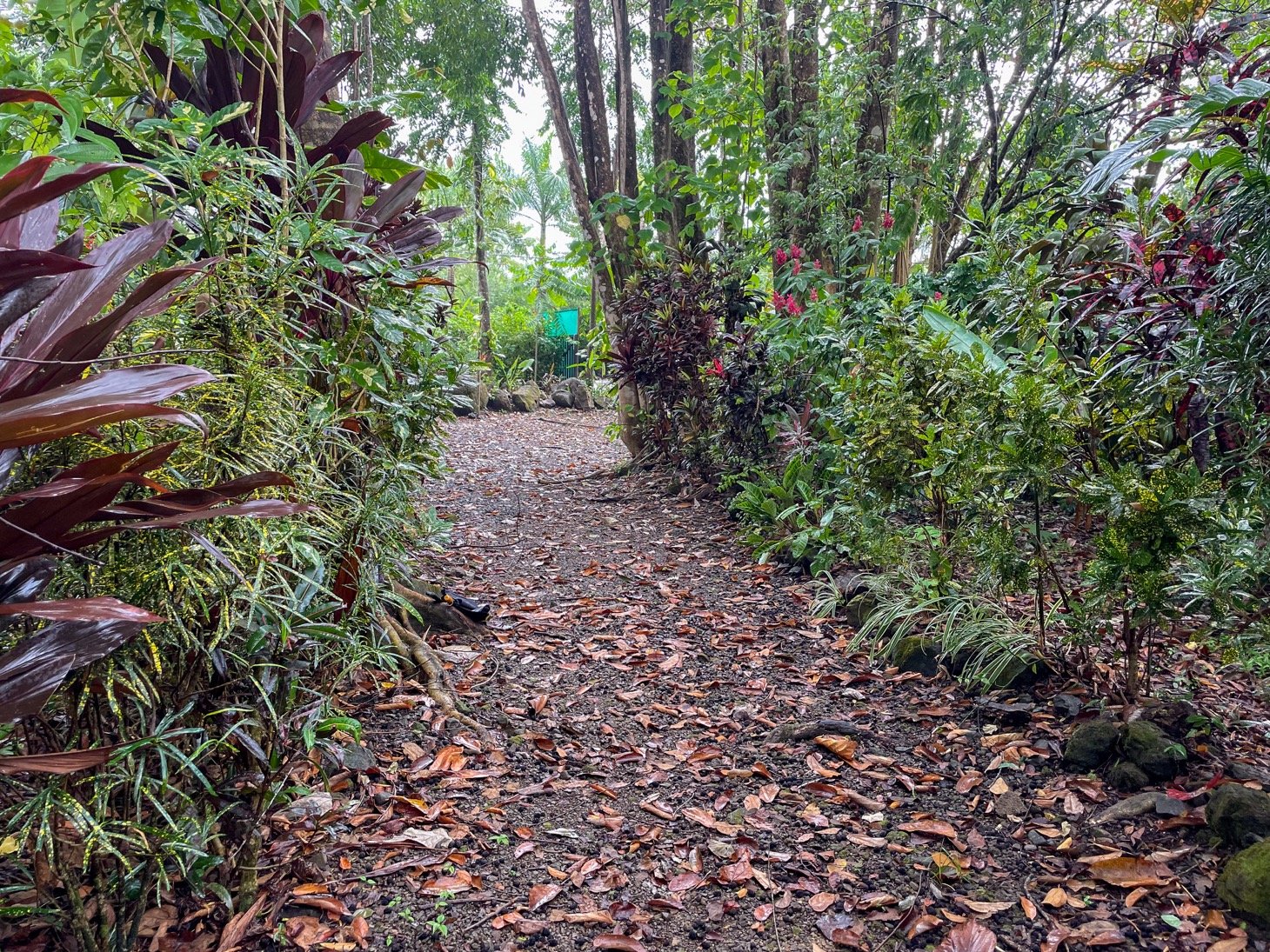 Cozy Colonial Home with Lush Gardens and Prime Commercial Prospects