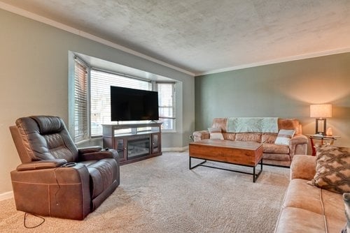 Just Listed: Peaceful Briargate Retreat on A Cul-De-Sac!