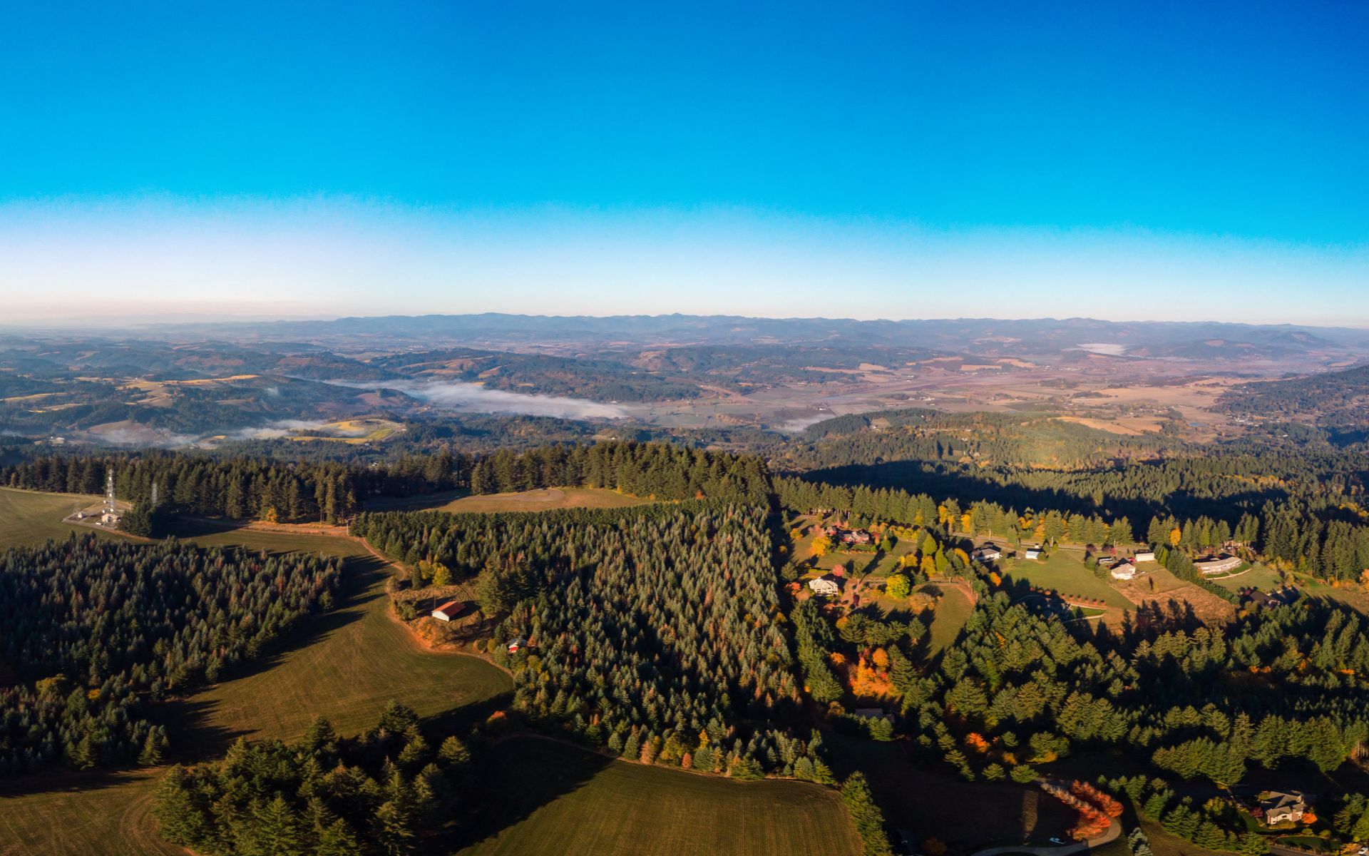 Place Portland Team - Windermere Realty Trust