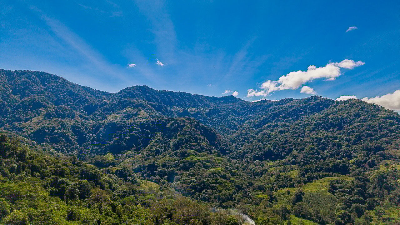 Whale Tail Views Luxury Waterfall Farm