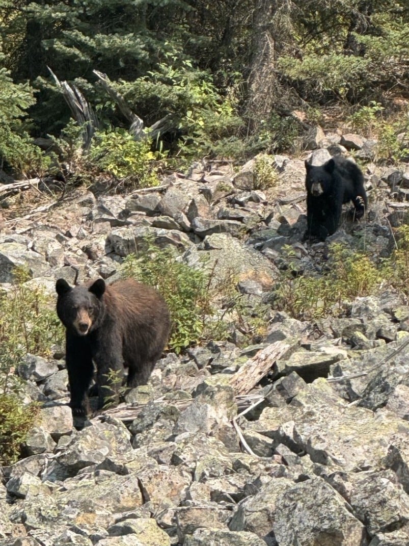 Summer Continues in Big Sky | August 2026
