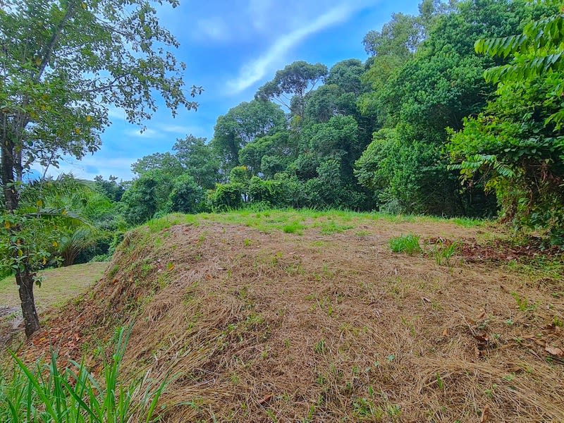 Amazing lot between Uvita and Dominical close to the Ocean