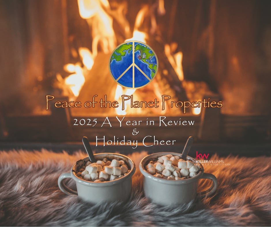 2025 A Year in Review & Holiday Cheer