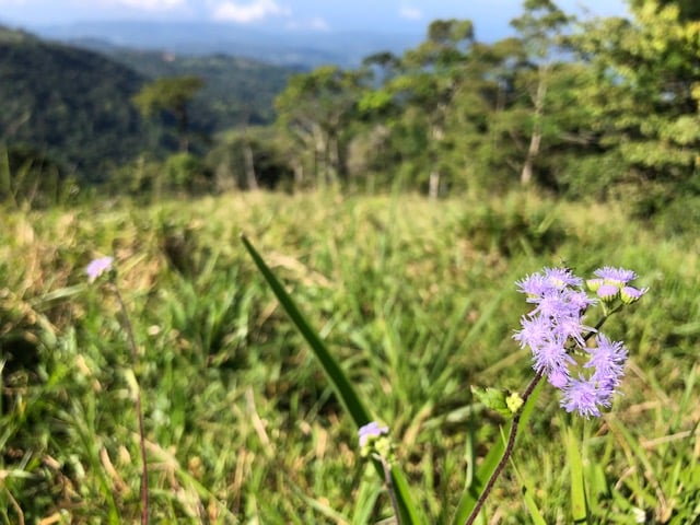 1.24 ACRES – Alto de San Juan, TOP OF THE WORLD VIEWS, Cool Breezes, Ready to Build Your Dream!!!!!