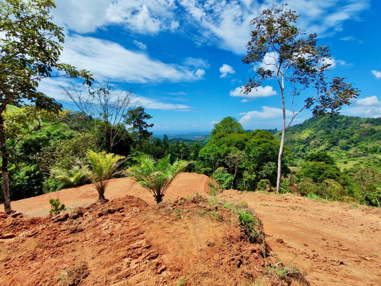 24.7-Acre Ocean View Eco Estate in San Cristóbal de Aguirre | 5 Building Sites
