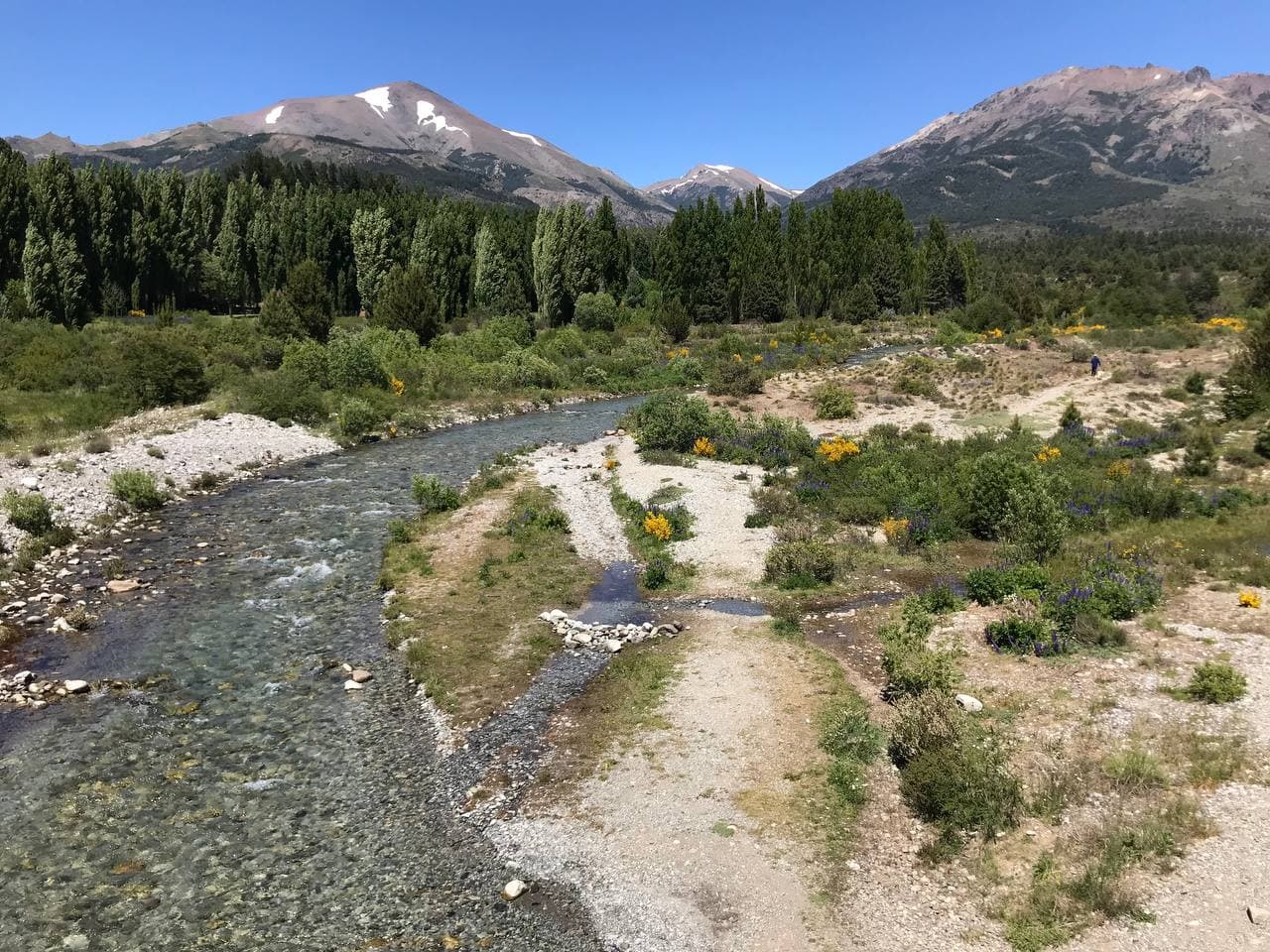 Mountain land in Ñireco with a rocky stream, wildflowers, forest, and snow-patched peaks.