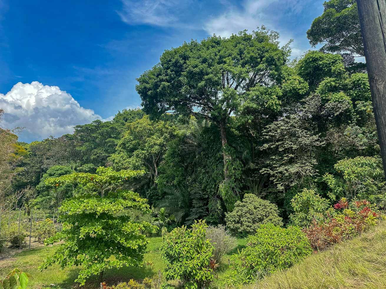 23-Acre Prime Highway Frontage Lot Near Ojochal & Ocean