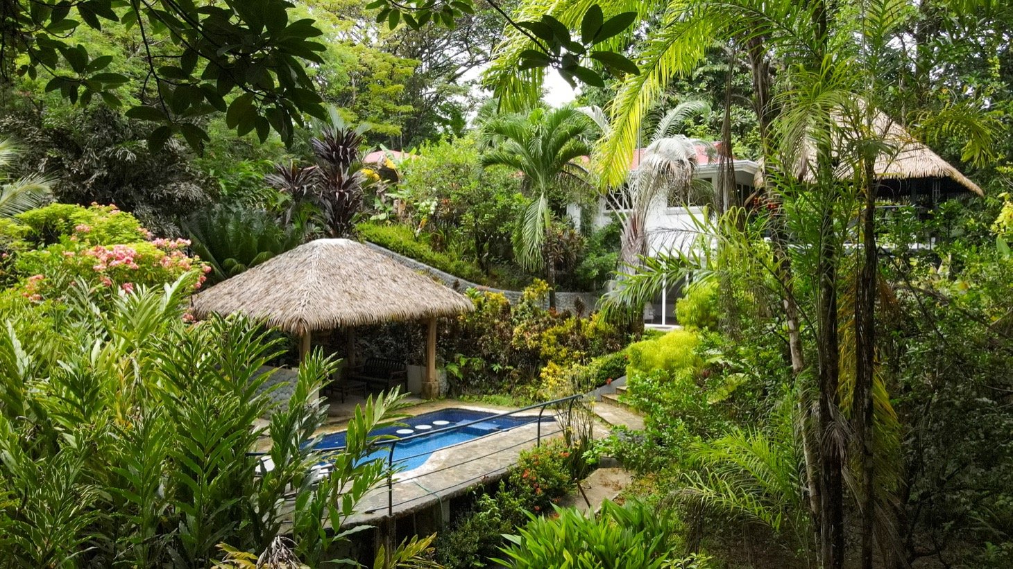 Modern House For Sale With Jungle View, Peaceful Stream, and Rental Cabins