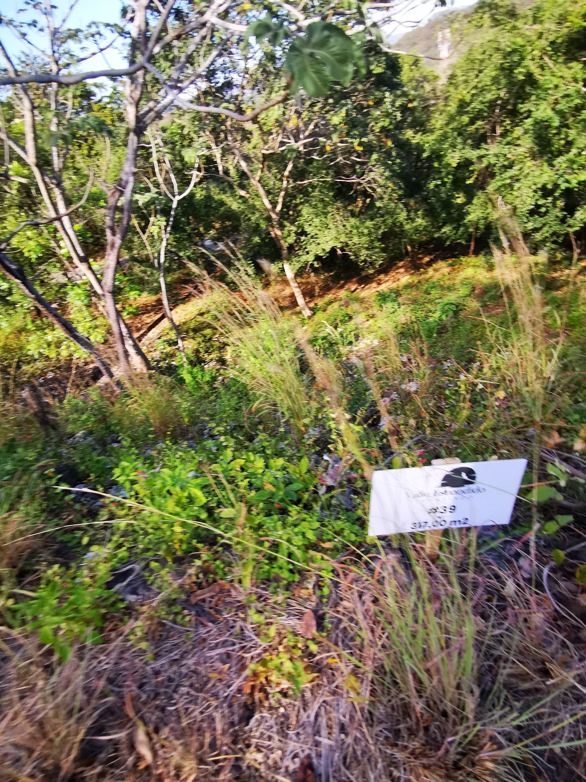 Valle Escondido