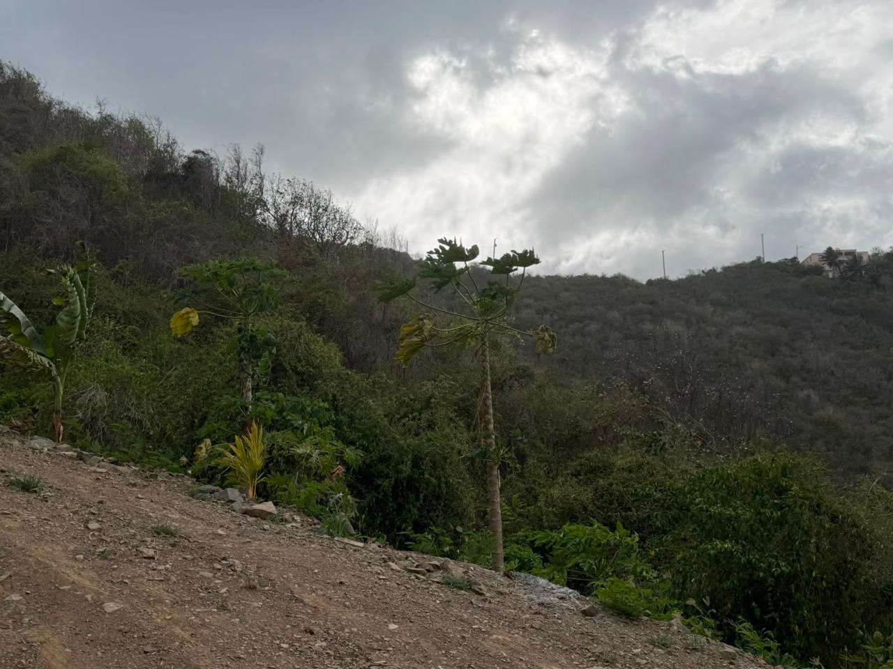1138 Brady Ghut Hillside Land
