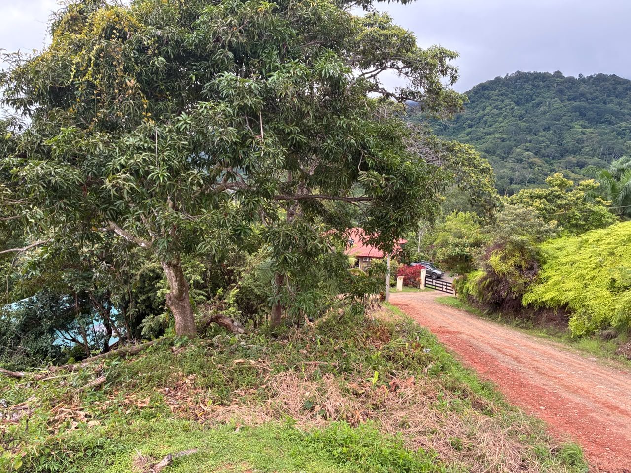 Spectacular Ocean View Lot in Ojochal Phase 9
