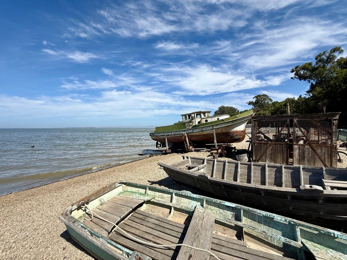 15 Sulgrave Lane, San Rafael