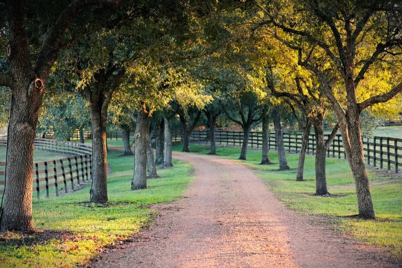 Just Listed! Wild Spring Ranch 