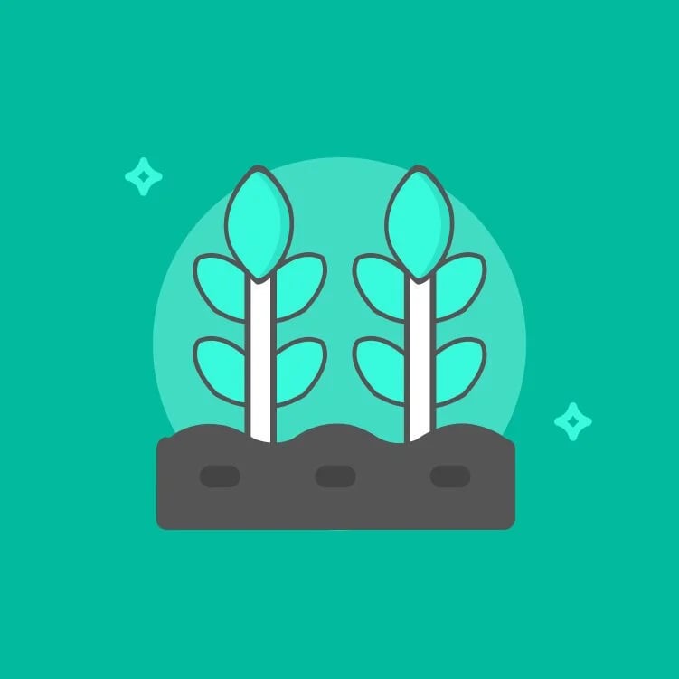 What Things Stay in the House and What Should Go With You After A Home Sale?