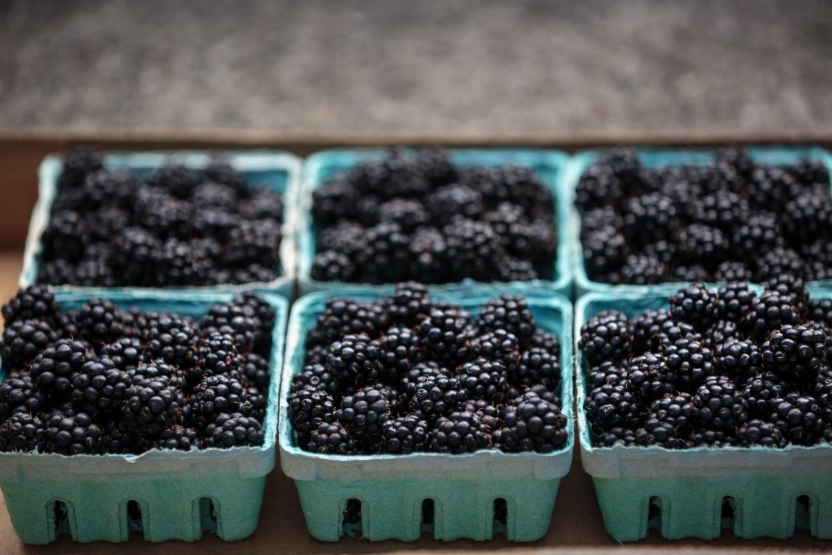Savor Berries, Apples and More From These Sonoma Farms and Roadside Stands