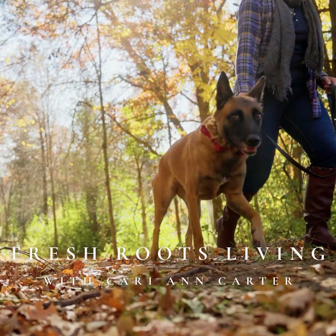 Thirty Minutes to Reconnect