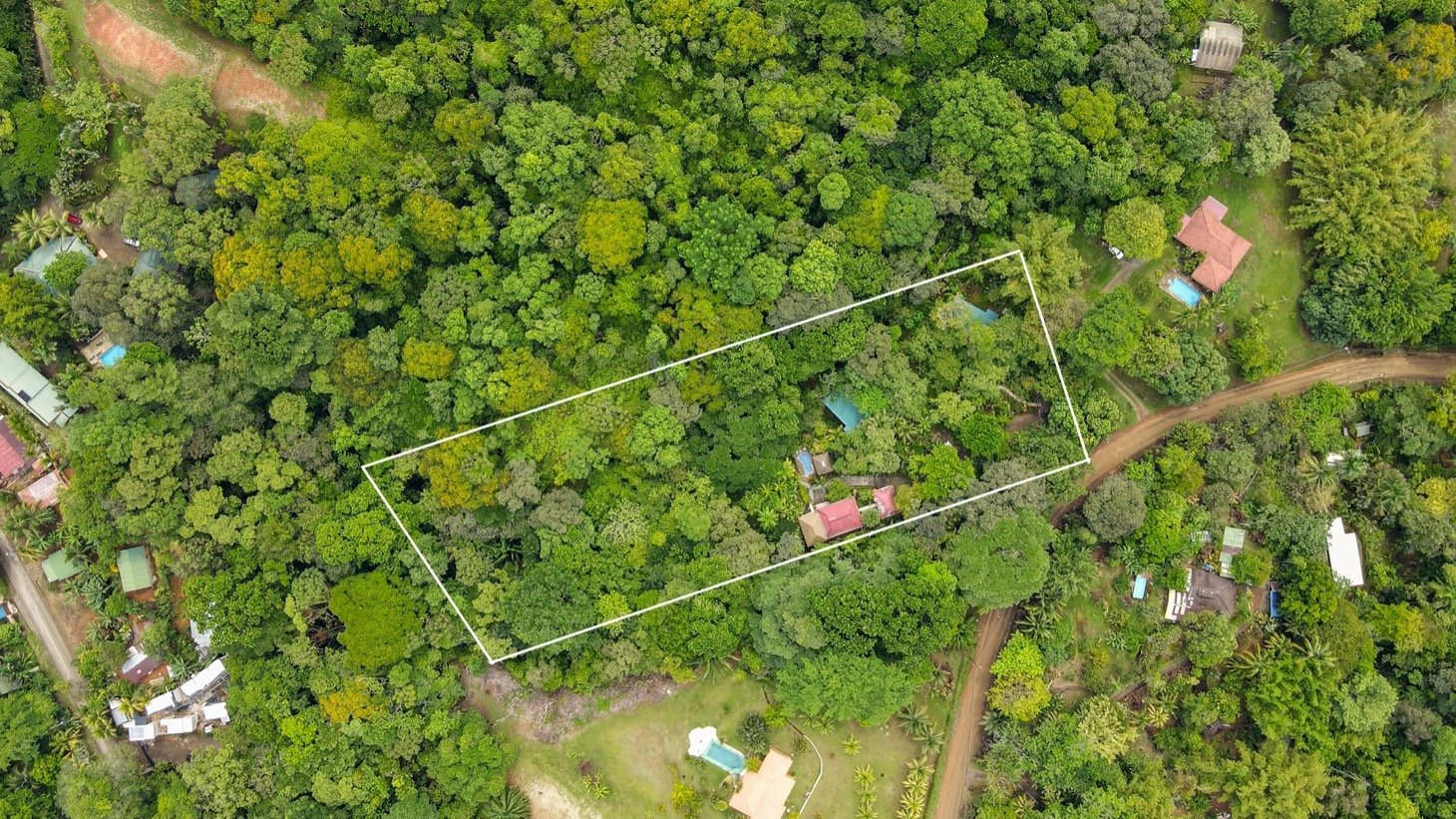 Modern House For Sale With Jungle View, Peaceful Stream, and Rental Cabins