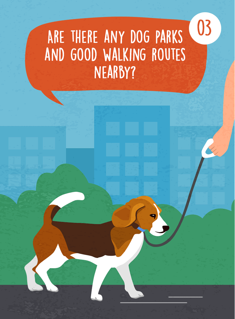 Expert Questions to Ask When House-Hunting with Pets in Mind