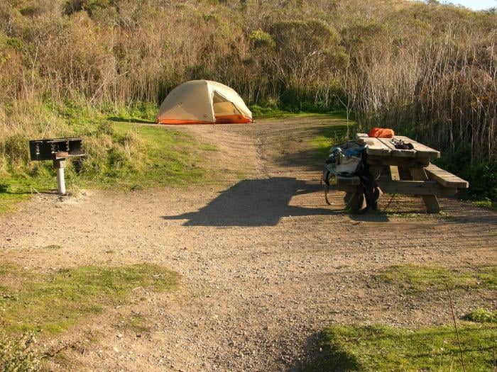  Celebrate and Contribute: Party on the Pacific Plate for Point Reyes National Seashore Association