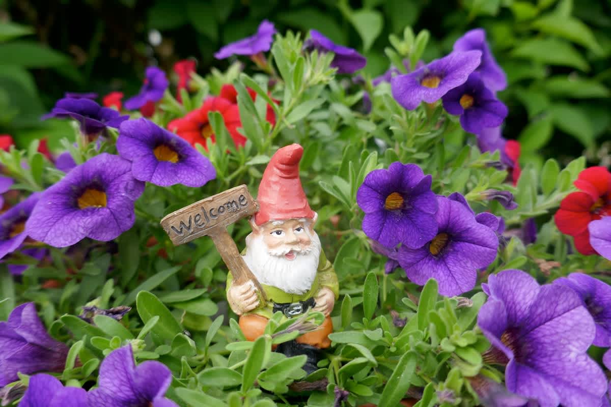 History of Design: Gardens