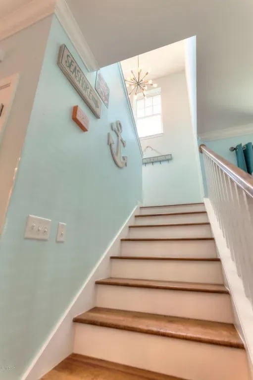 406 ALBATROSS Street