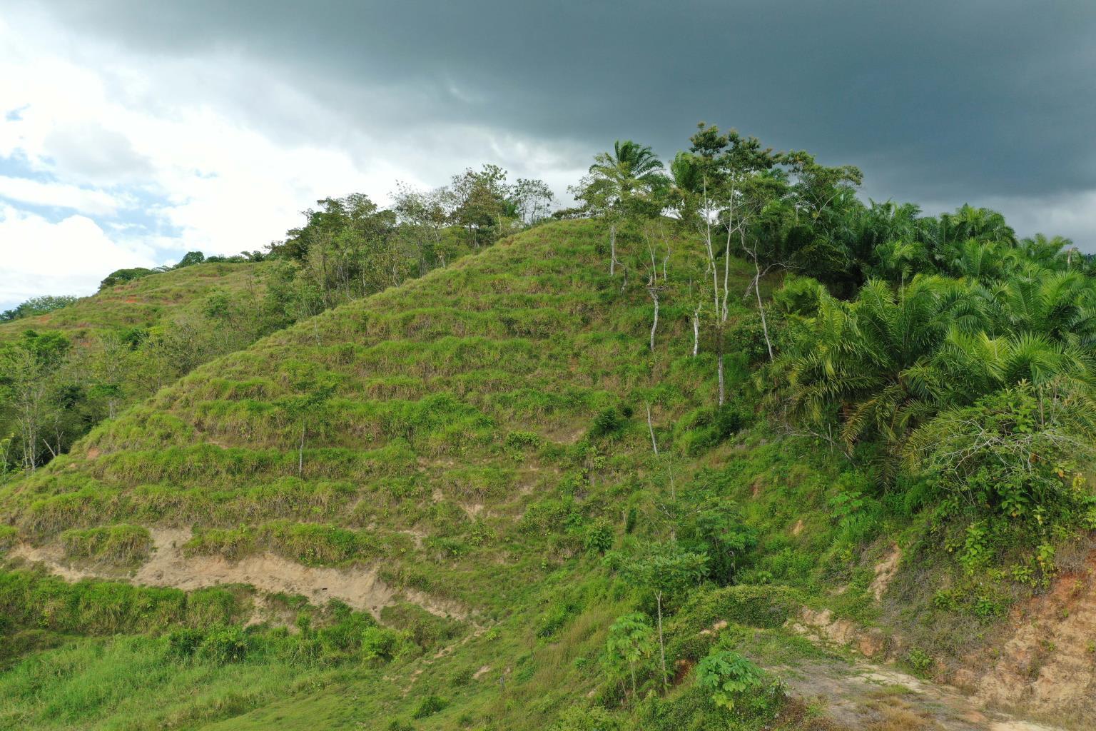 Prime 286-Acre Ocean View Property for Sale Near Quepos, Costa Rica – Ideal for Development