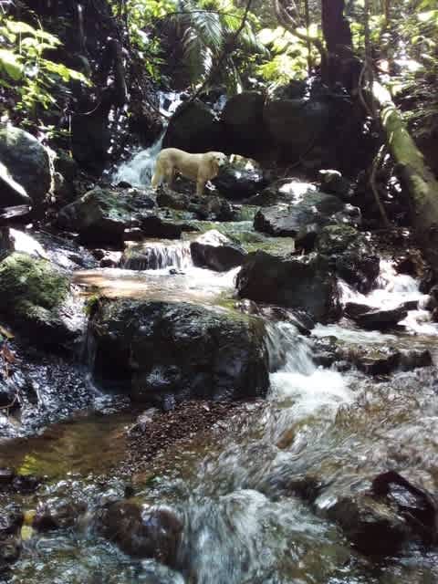 Biophilia Nature Preserve