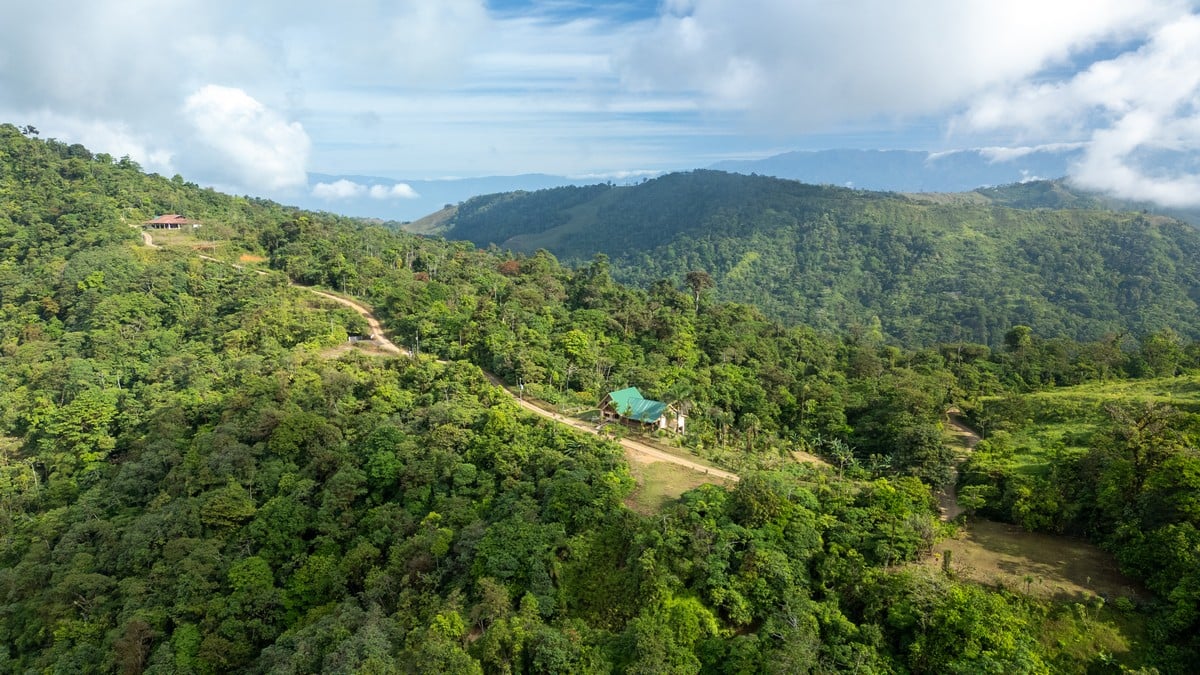 1.8 ACRES – 4 Bedroom Panoramic Ocean & Mountain View Paradise Home Tucked Away in Complete Privacy With Tropical Gardens & Fruit Trees!!!