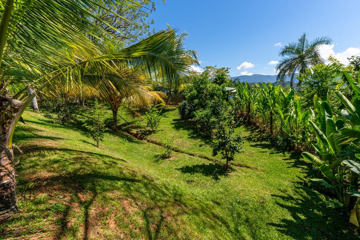  3 Bedroom Stunning Luxury Home Featuring Sweeping Valley & Ocean Views, 5.67 ACRES 
